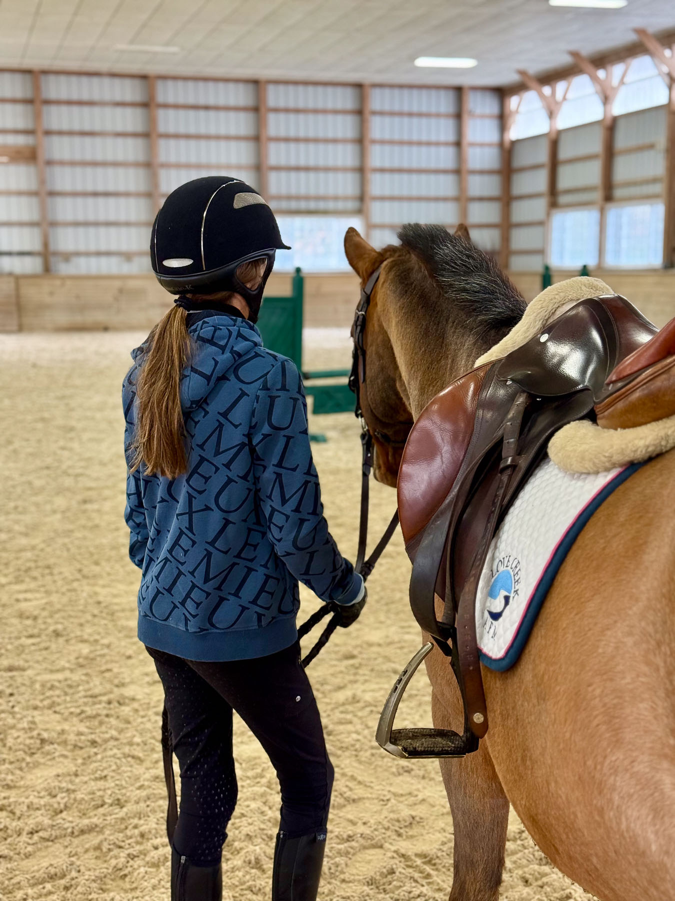 Aerie the horse